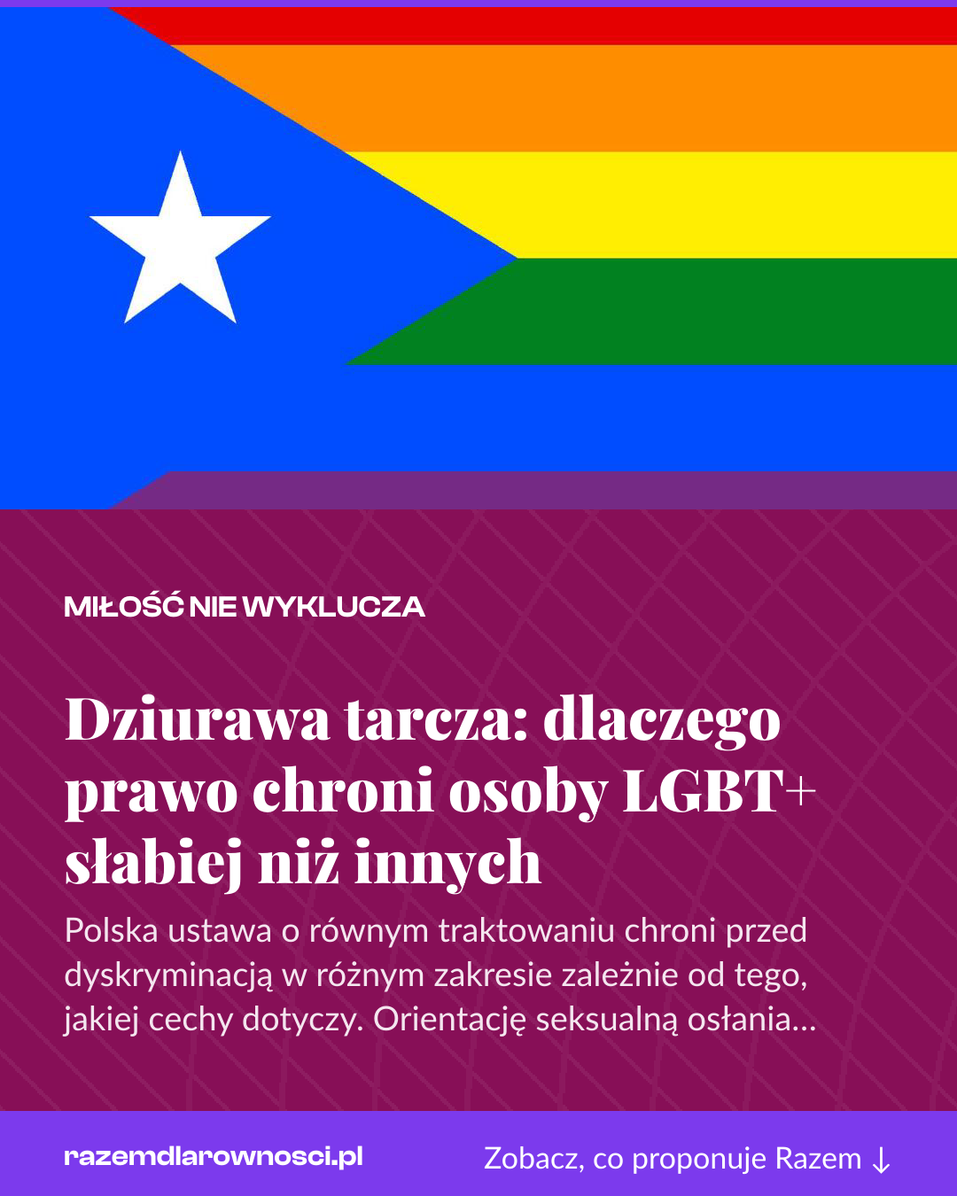 Grafika pionowa do udostępnienia: Dziurawa tarcza: dlaczego prawo chroni osoby LGBT+ słabiej niż innych